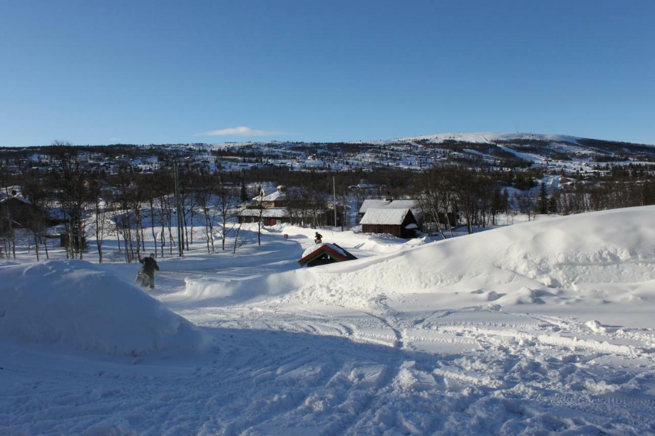 Bergfosshytta Ron