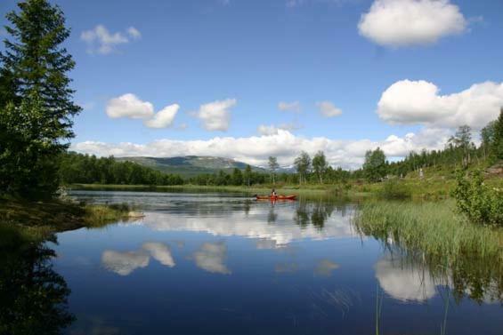 Bergfosshytta Apartment *
